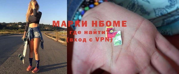 стаф Аркадак