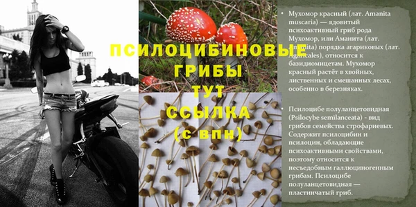 мефедрон мука Нефтегорск